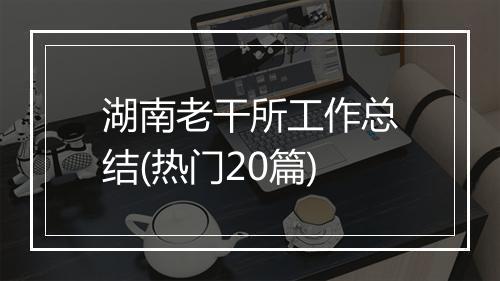 湖南老干所工作总结(热门20篇)
