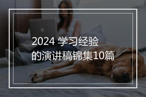 2024 学习经验的演讲稿锦集10篇