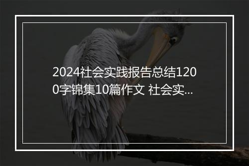 2024社会实践报告总结1200字锦集10篇作文 社会实践报告总结1200字锦集10篇