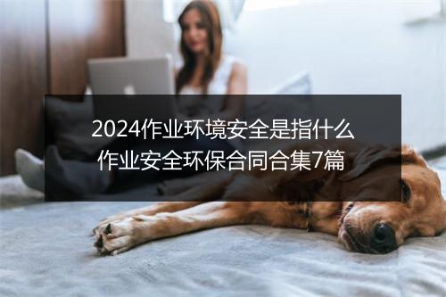2024作业环境安全是指什么 作业安全环保合同合集7篇