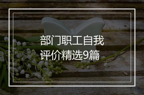 部门职工自我评价精选9篇