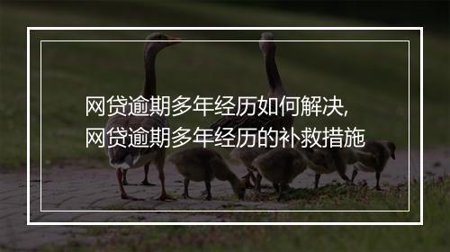 网贷逾期多年经历如何解决,网贷逾期多年经历的补救措施
