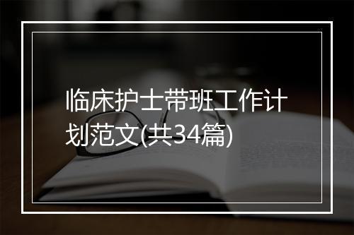 临床护士带班工作计划范文(共34篇)