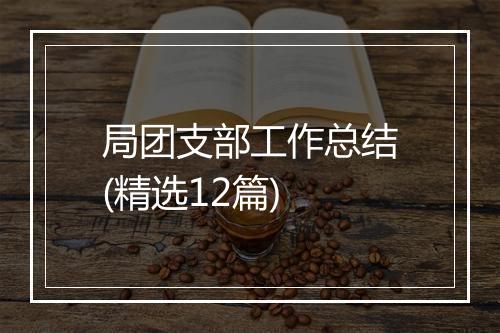 局团支部工作总结(精选12篇)