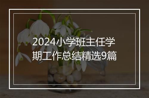 2024小学班主任学期工作总结精选9篇