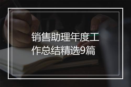 销售助理年度工作总结精选9篇