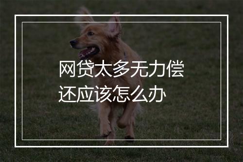 网贷太多无力偿还应该怎么办