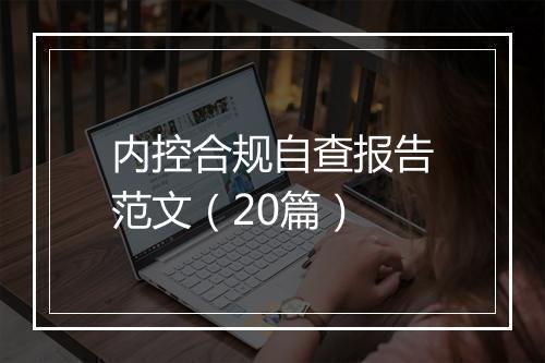 内控合规自查报告范文（20篇）