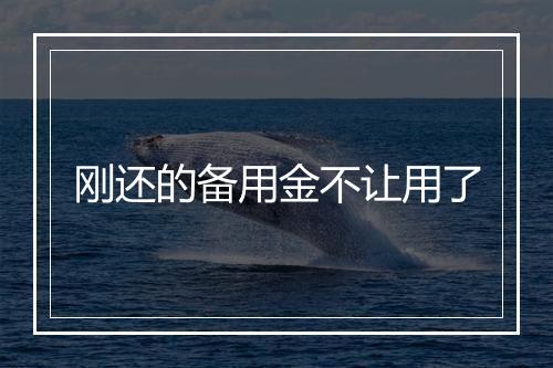 刚还的备用金不让用了