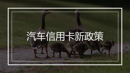 汽车信用卡新政策