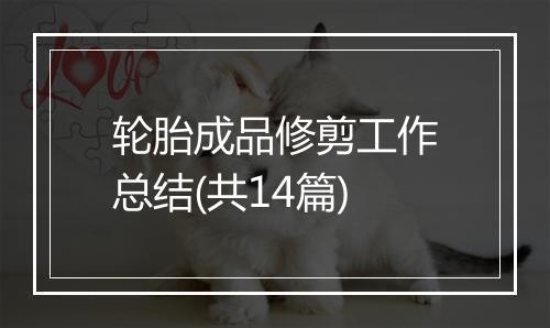 轮胎成品修剪工作总结(共14篇)
