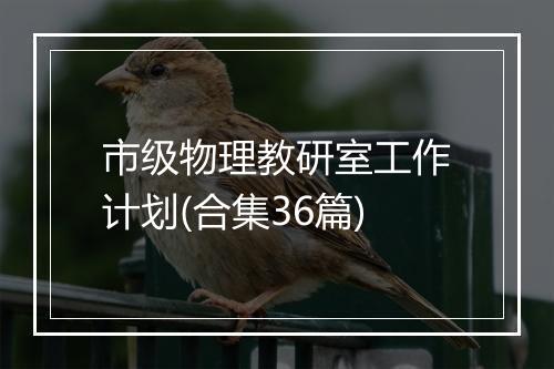 市级物理教研室工作计划(合集36篇)