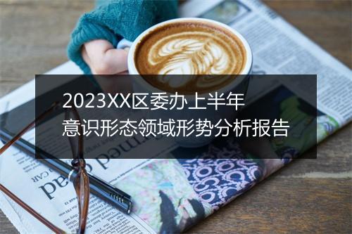 2023XX区委办上半年意识形态领域形势分析报告