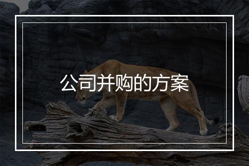 公司并购的方案