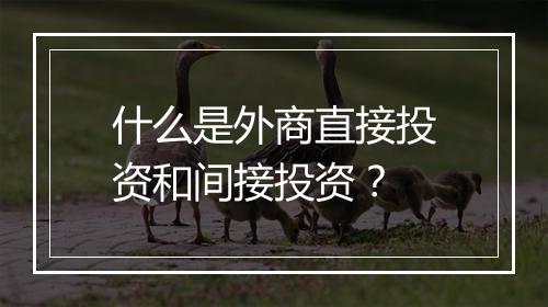什么是外商直接投资和间接投资？