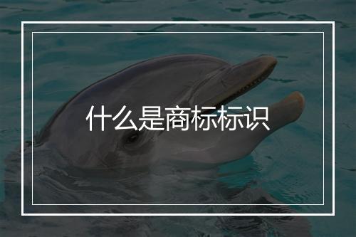 什么是商标标识