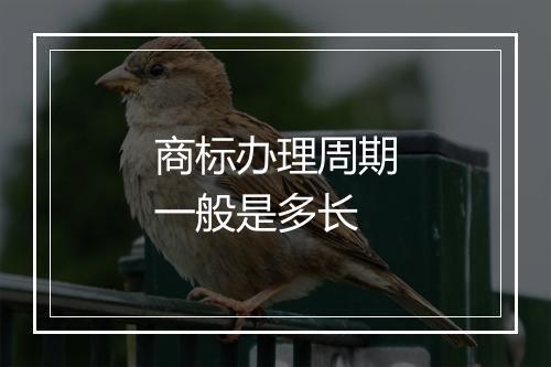 商标办理周期一般是多长
