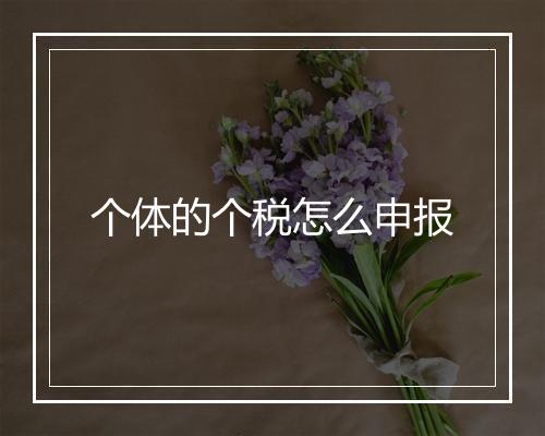 个体的个税怎么申报