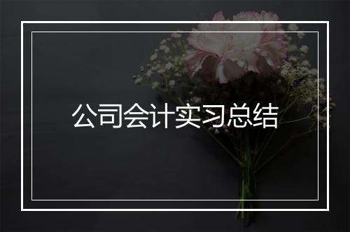公司会计实习总结