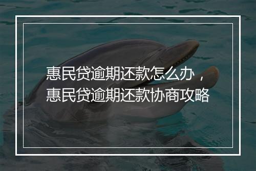 惠民贷逾期还款怎么办，惠民贷逾期还款协商攻略