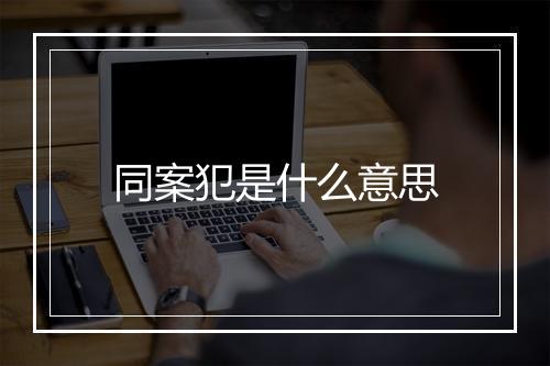同案犯是什么意思