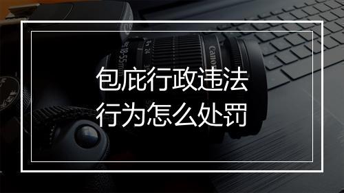 包庇行政违法行为怎么处罚