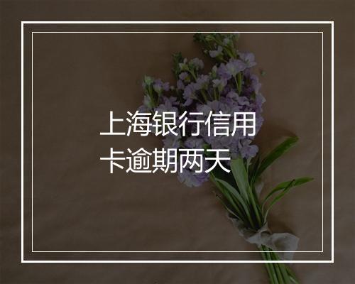 上海银行信用卡逾期两天