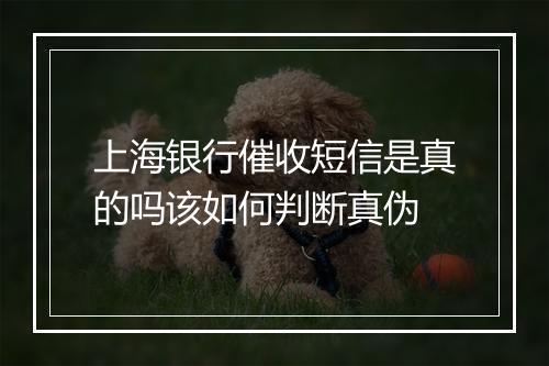 上海银行催收短信是真的吗该如何判断真伪