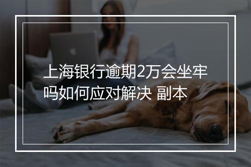 上海银行逾期2万会坐牢吗如何应对解决 副本