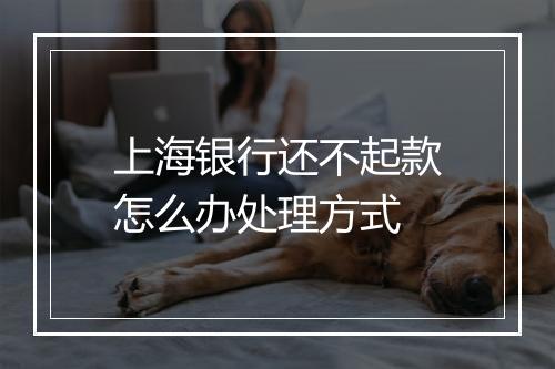 上海银行还不起款怎么办处理方式