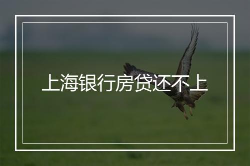 上海银行房贷还不上