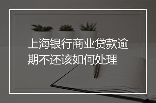 上海银行商业贷款逾期不还该如何处理