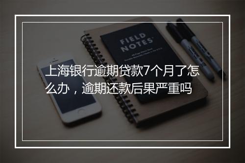上海银行逾期贷款7个月了怎么办，逾期还款后果严重吗