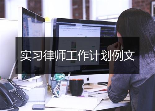 实习律师工作计划例文