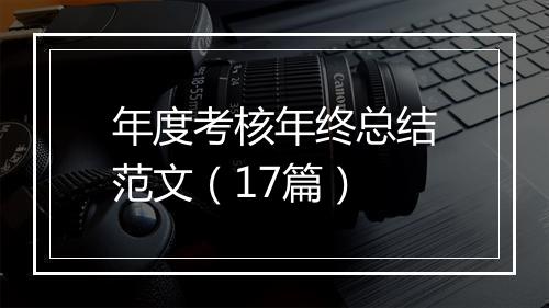 年度考核年终总结范文（17篇）
