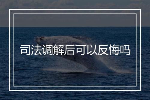 司法调解后可以反悔吗