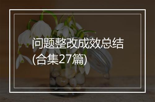 问题整改成效总结(合集27篇)