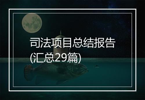 司法项目总结报告(汇总29篇)