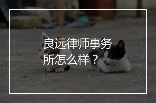 良远律师事务所怎么样？