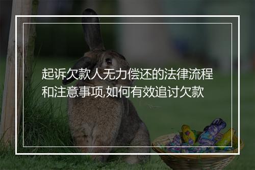 起诉欠款人无力偿还的法律流程和注意事项,如何有效追讨欠款