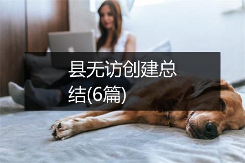 县无访创建总结(6篇)