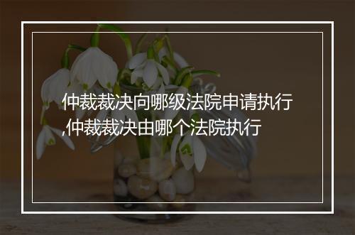 仲裁裁决向哪级法院申请执行,仲裁裁决由哪个法院执行
