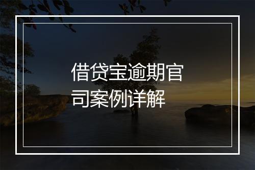 借贷宝逾期官司案例详解