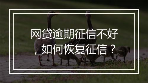网贷逾期征信不好，如何恢复征信？