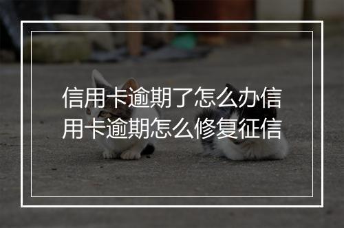 信用卡逾期了怎么办信用卡逾期怎么修复征信