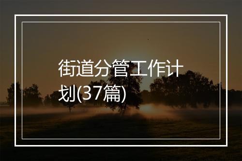 街道分管工作计划(37篇)