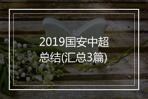 2019国安中超总结(汇总3篇)