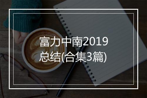 富力中南2019总结(合集3篇)