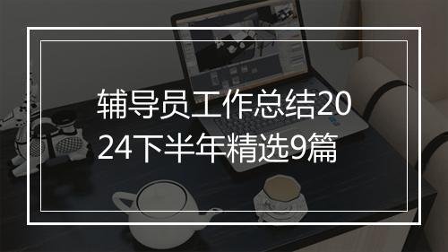 辅导员工作总结2024下半年精选9篇