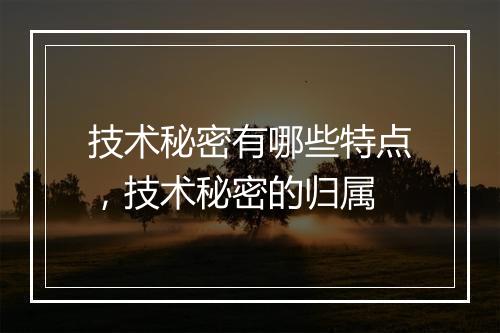 技术秘密有哪些特点，技术秘密的归属